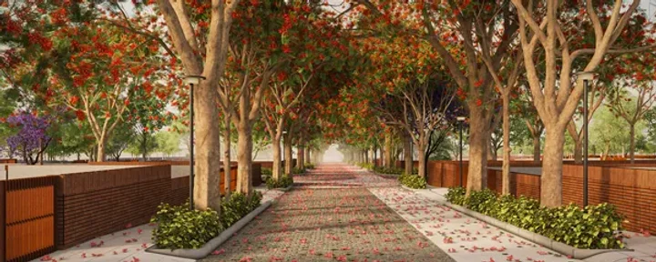 Walking path under flowering trees at Total Environment Yelahanka